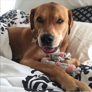 15% off bundles! 💕